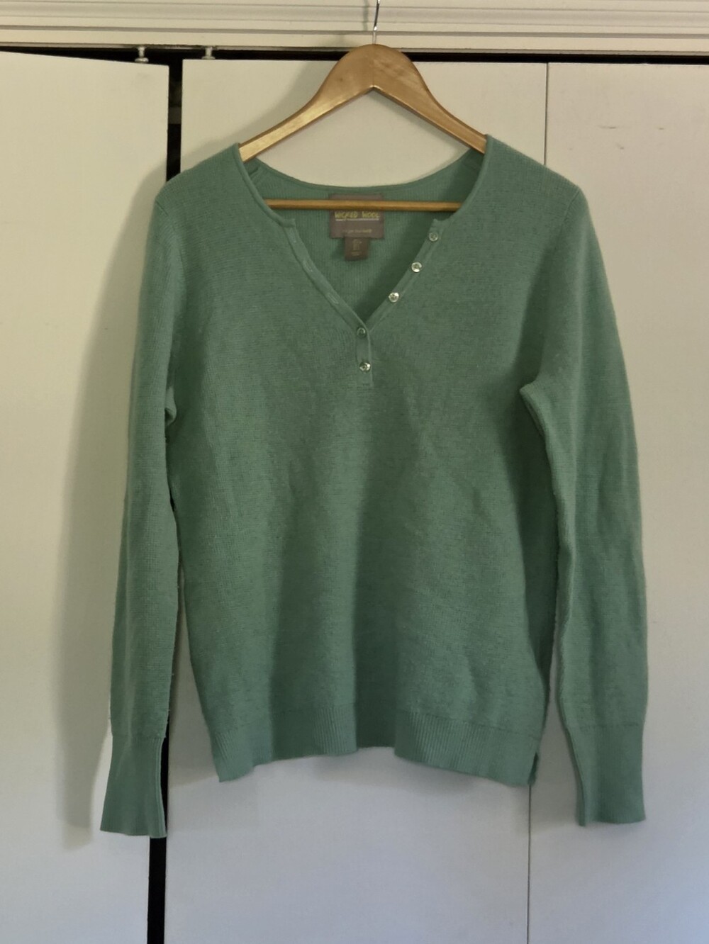 Wicked Wool Soft V-Neck Button Sweater in Mint Green